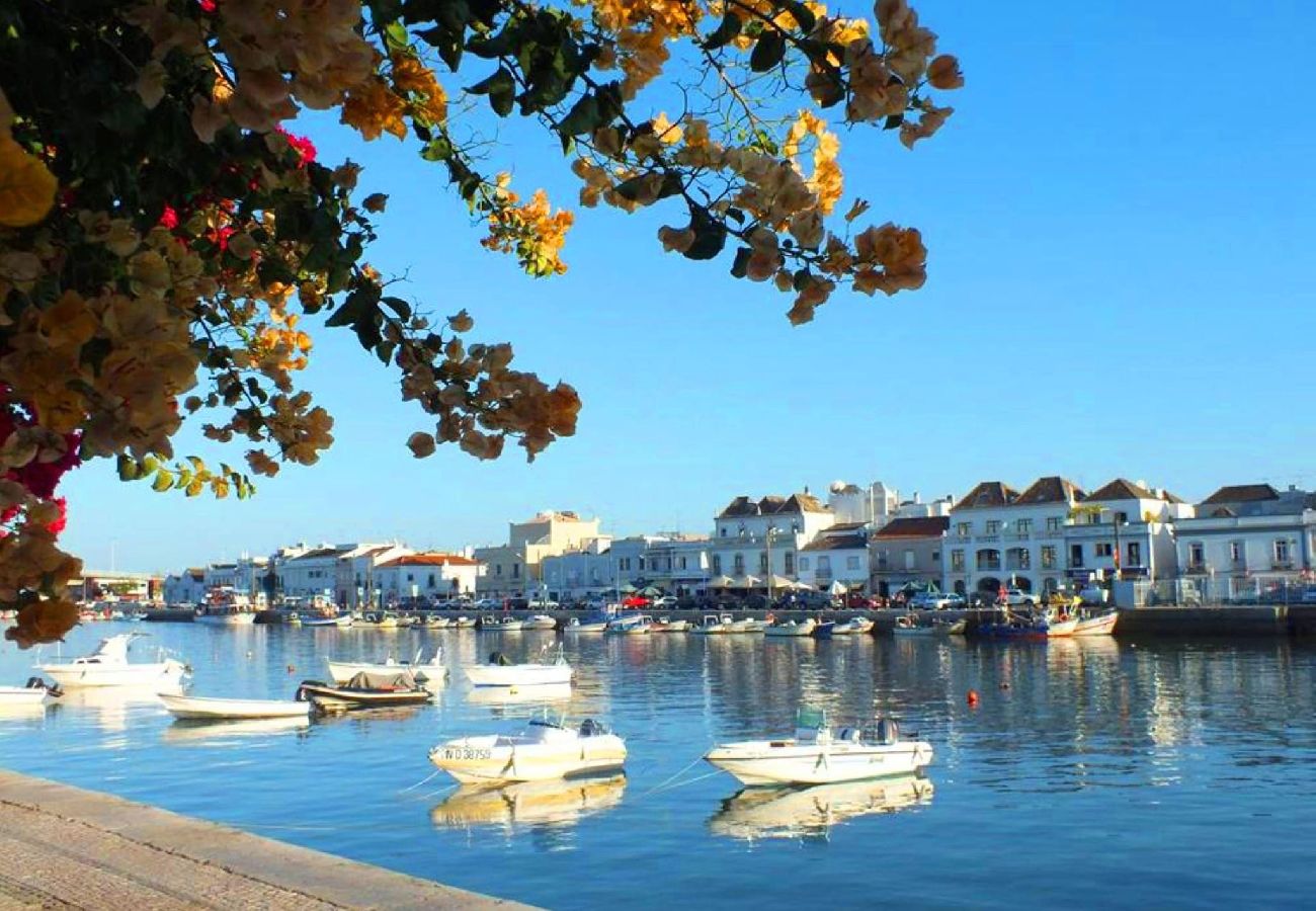 Maison mitoyenne à Tavira - Belle maison de ville en centre ville avec piscin 