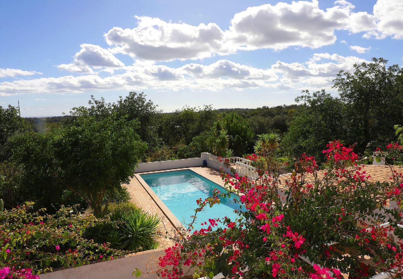 Villa à Tavira - Casa Agave/Ferme rustique avec piscine 