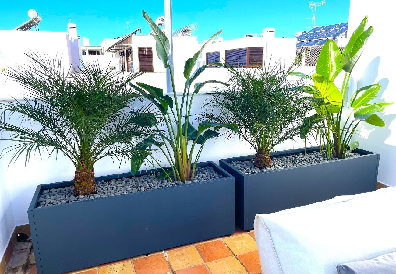 Villa in Tavira - Casa Frangipani-Spacious Family Villa with Pool 